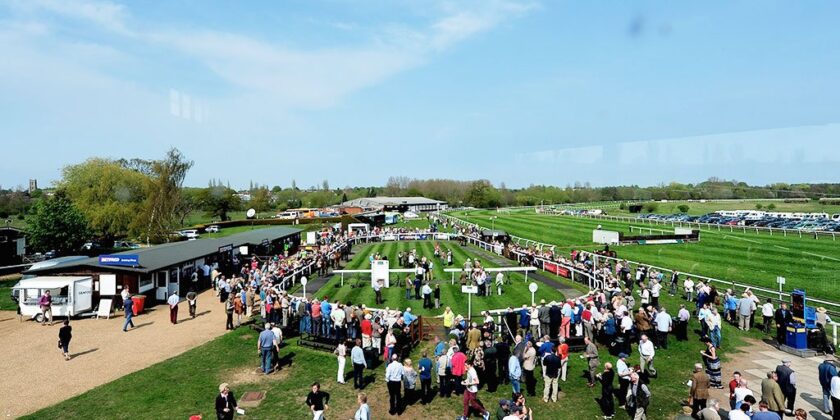 Another Multiplex Chase Winner