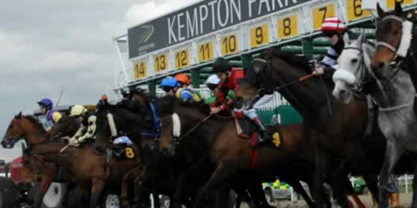 Multiplex All Weather Winner