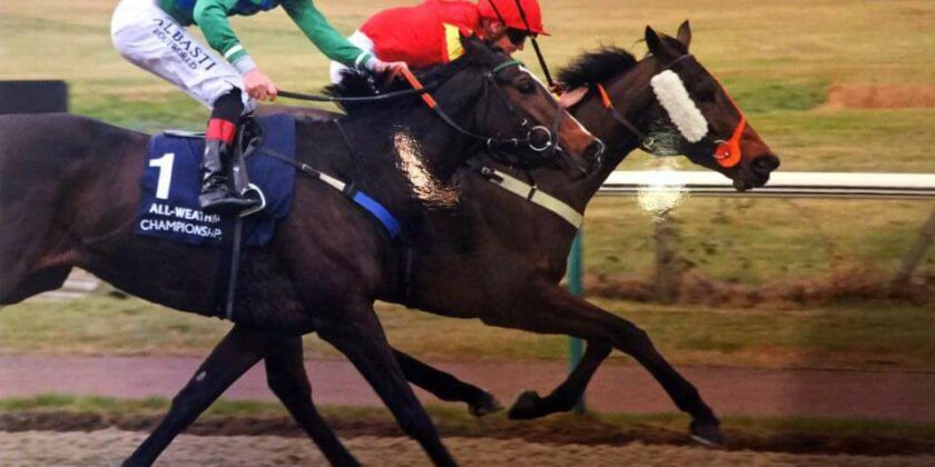 Multiplex Progeny Keep on Winning!