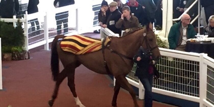 Impressive Billy Bronco Wins Well