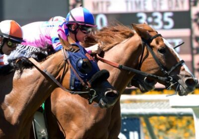 Multiplex Filly 3rd in American Oaks