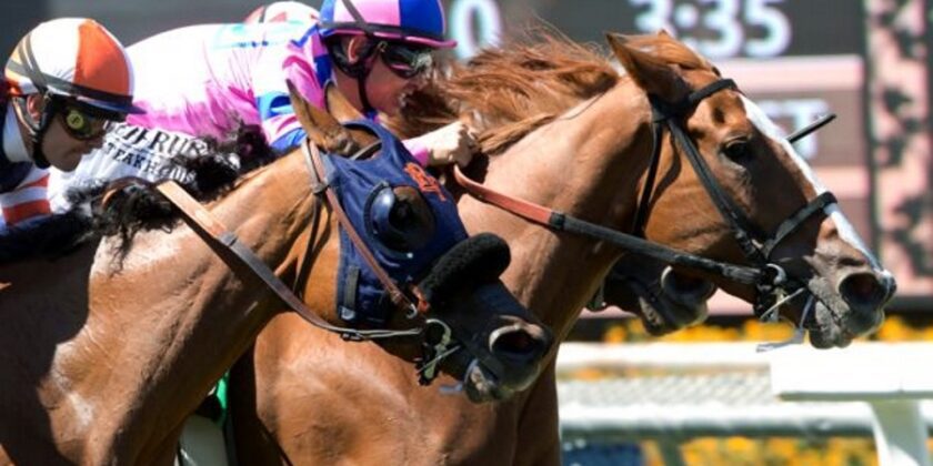 Multiplex Filly 3rd in American Oaks