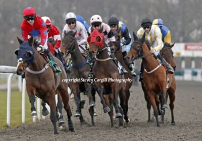 Multi Quest Wins at Kempton