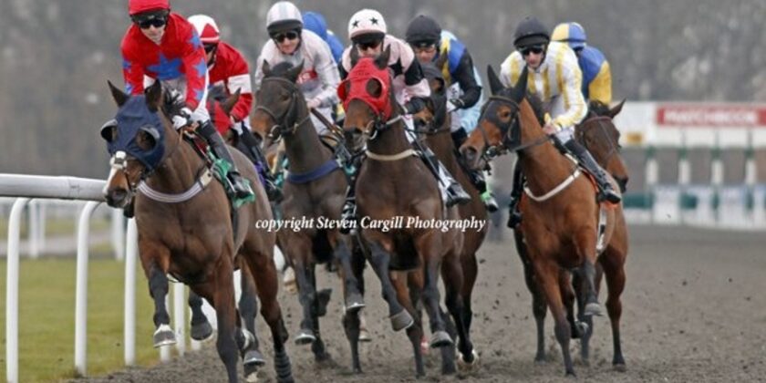 Multi Quest Wins at Kempton