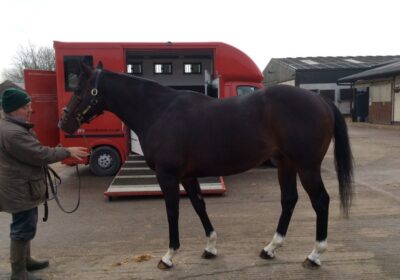 Multiplex Moves to Bahrain