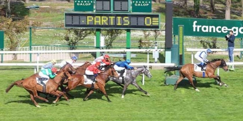 Multideal Enjoys Success at Saint-Cloud