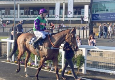 Great Run of Winners for Multiplex