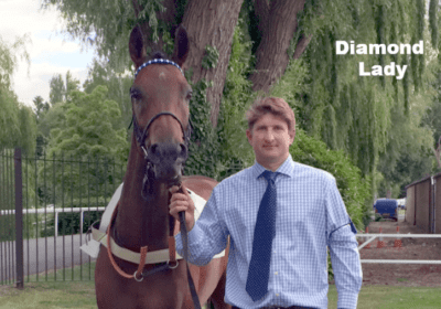 Diamond Lady Sparkles at Lingfield