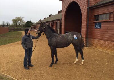 Mickley-Bred Listed Winner at Sandown