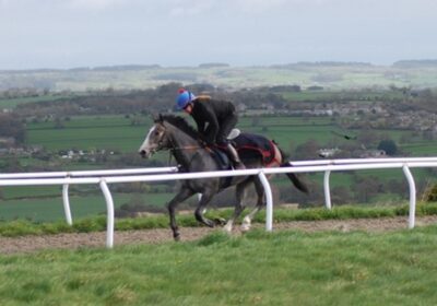 Mickley Bred, Now Royal Ascot Is The Target ……