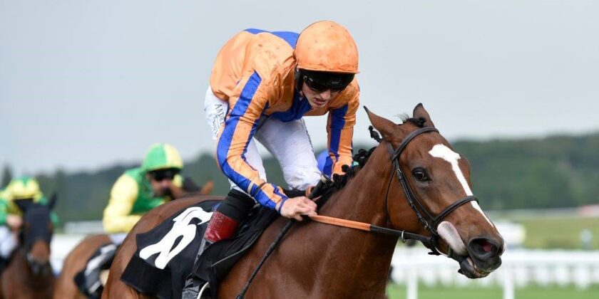Multigifted and El Hombre Make It A Mickley Double!