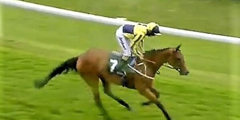 Two Winners at Hamilton