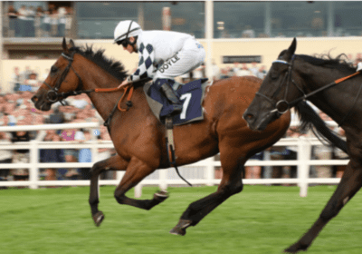 Diamond Sparkles Once Again