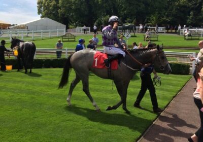 Another Listed Winner Bred at Mickley Stud