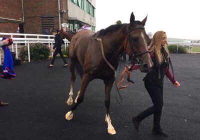 Strictly Carter Takes The Honours at Brighton