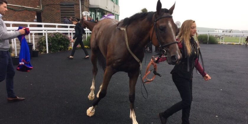 Strictly Carter Takes The Honours at Brighton