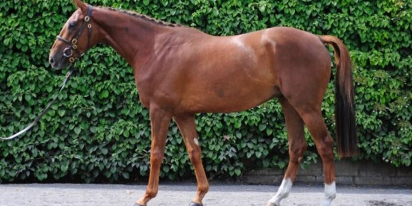 Yorgunnabelucky 3year old makes €60,000