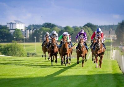 Dark Crystal – Another Multiplex Gem