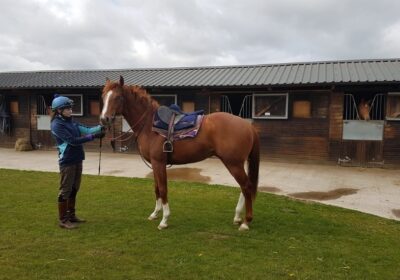 Two Year Old Winner for Captain Gerrard