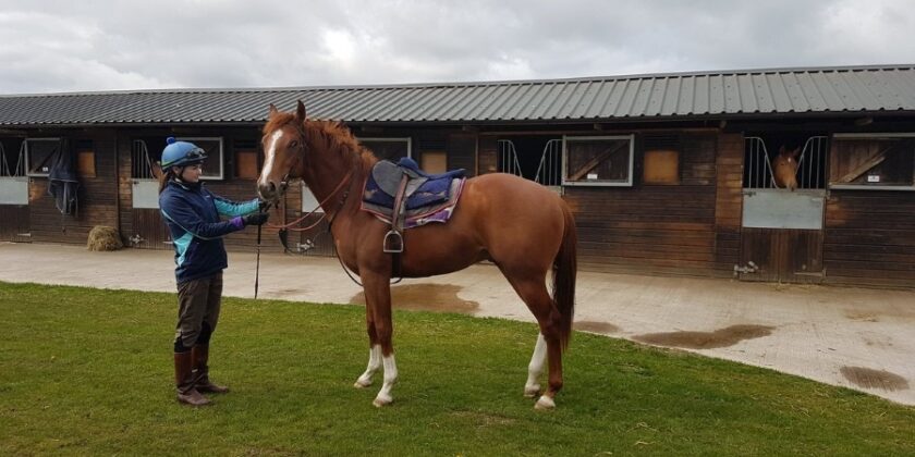 Two Year Old Winner for Captain Gerrard