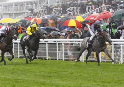 Havana Grey Wins Molcomb Stakes