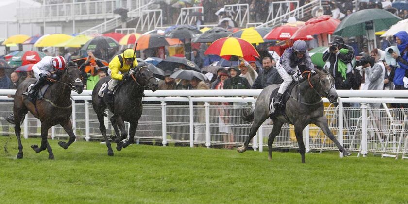 Havana Grey Wins Molcomb Stakes