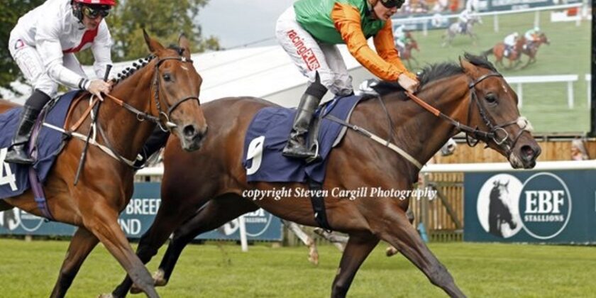 Captain Gerrard 2yo Winner At HQ