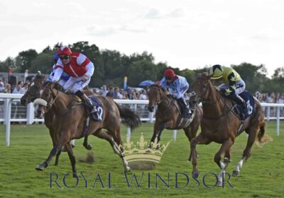 Two Winners at Home and Four Abroad!