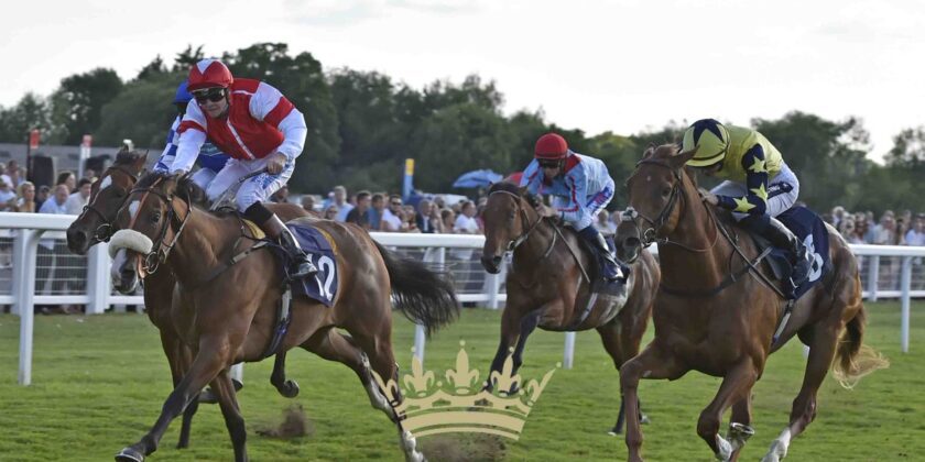Two Winners at Home and Four Abroad!