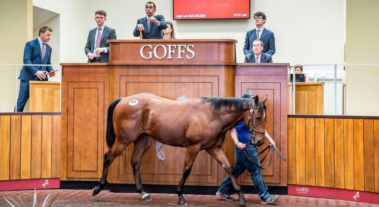 Heeraat Dominates Silver Yearling Sale