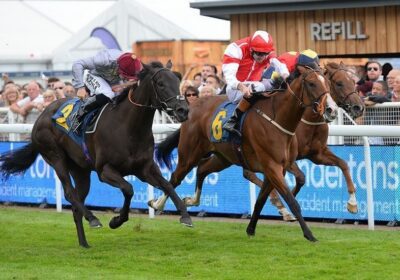 2yo Winner for Captain Gerrard