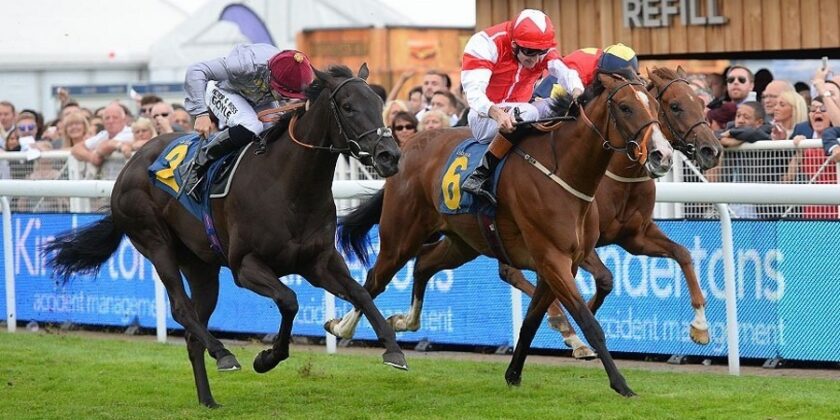 2yo Winner for Captain Gerrard