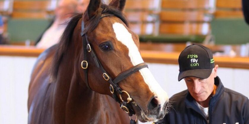 EBN News Feature About Mickley Stud