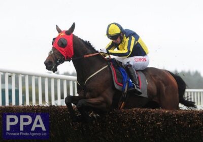 Mickley-Bred Gingili Wins at Exeter