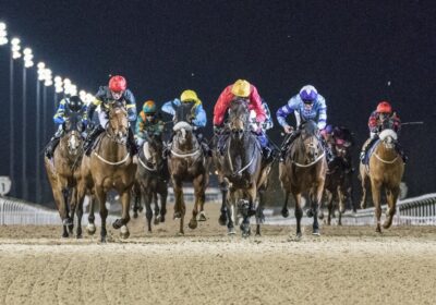 Young Tiger Still Burning Bright