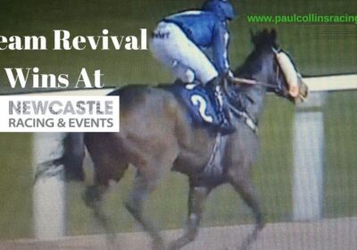 Dream Result for Dream Revival