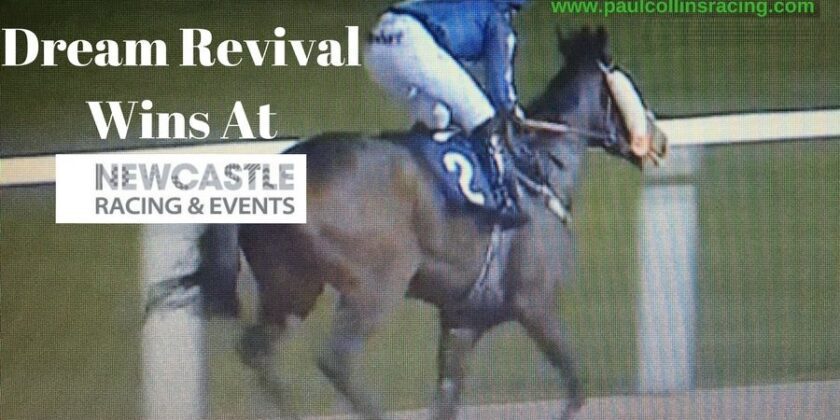 Dream Result for Dream Revival