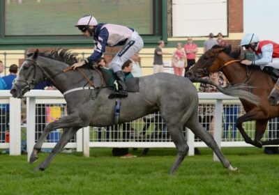 SILVA ECLIPSE ANOTHER MULTIPLEX SUCCESS