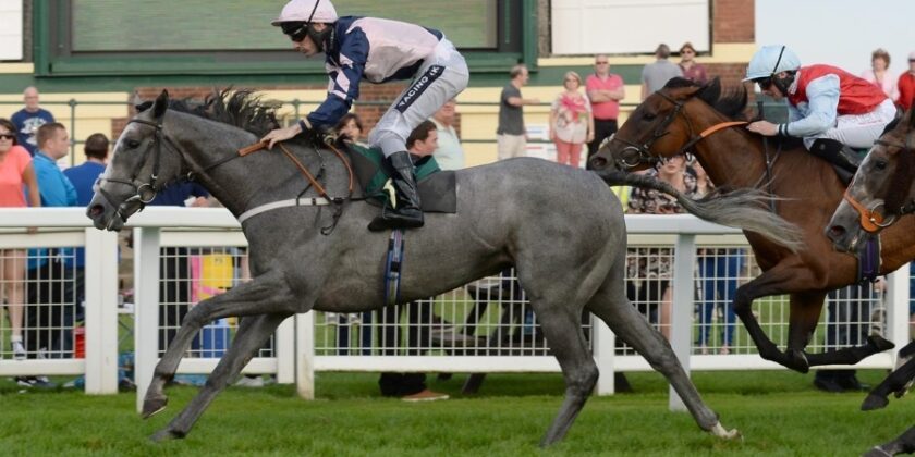 SILVA ECLIPSE ANOTHER MULTIPLEX SUCCESS