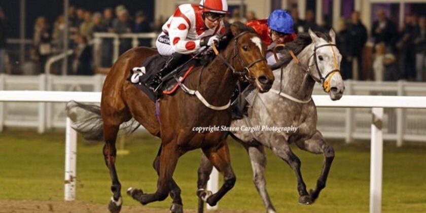 Lady Willpower Dominates at Chelmsford
