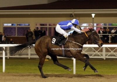 Across The Card Double For Multiplex