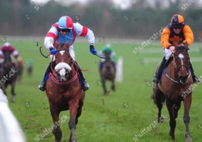 Multiplex Gelding Wins Limerick Festival Finale