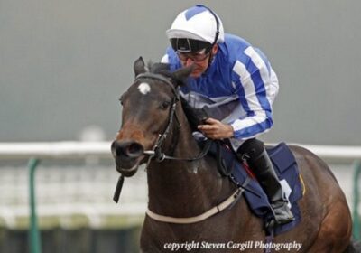 Multiplex Winner for Owners King Power