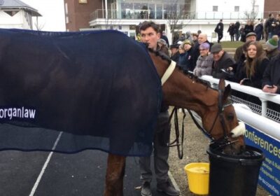 Positively Dylan Back to Winning Ways