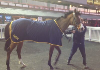 Captain Gerrard Has A Winner At Wolves