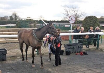 Another Multiplex All-Weather Winner!