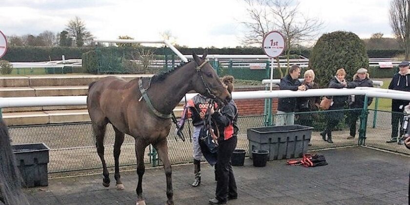 Another Multiplex All-Weather Winner!