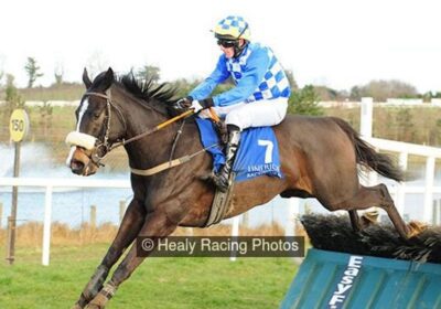 Irish Hurdles Winner for Multiplex
