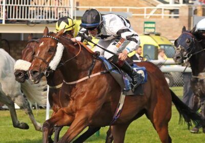 Picket Line Strikes Again!