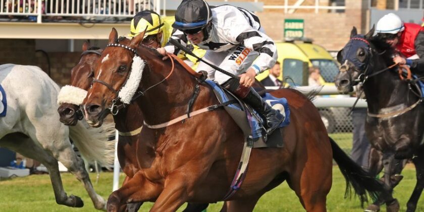 Picket Line Strikes Again!